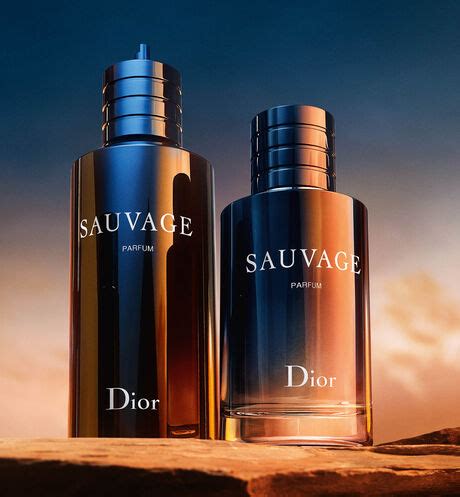 dior savage refillable|sauvage Dior female.